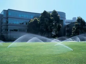 Commercial Sprinkler System